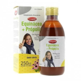 Equinácea Própolis Adulto 250ml Ceregumil | HogarLider