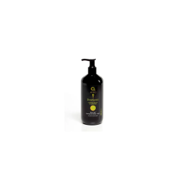 Dermo Afro Champu Mango-Argan 500ml | HogarLider