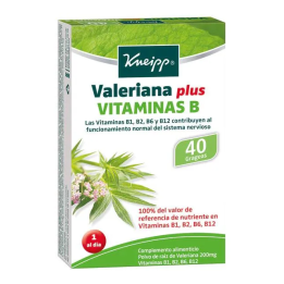 Valeriana Vitamina B Kneipp | HogarLider