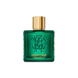 Roberto Cavalli Rc Uomo Verde Assoluto Edp 100ml | HogarLider