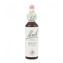 Santiveri Bach Beech 10ml | HogarLider