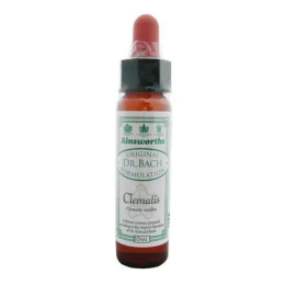 Santiveri Bach Clematis 10ml | HogarLider