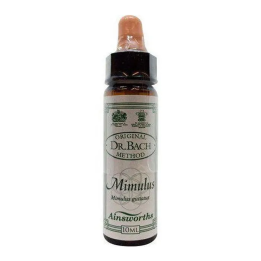Santiveri Bach Mimulus 10ml | HogarLider