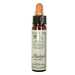 Santiveri Bach Mostaza 10ml | HogarLider