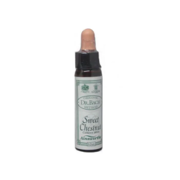 Santiveri Bach Castaño Dulce 10ml | HogarLider
