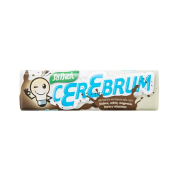 Santiveri Cerebrum Chocolatina 20g | HogarLider