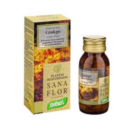 Santiveri Ginkgo Biloba Planta Comprimidos 27g | HogarLider