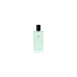 Titto Bluni Man Edt 150 Essenza | HogarLider