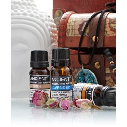 Aceite Esencial Árbol de té | HogarLider