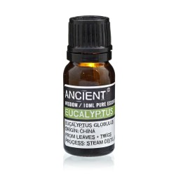 Aceite Esencial Eucalipto | HogarLider