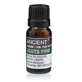 Aceite Esencial Pino silvestre | HogarLider