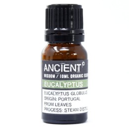 Aceite esencial orgánico - Eucalipto | HogarLider