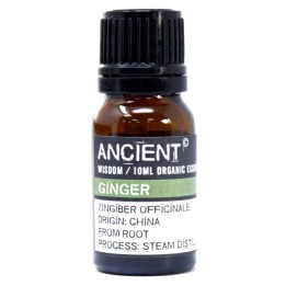 Aceite esencial orgánico - Jengibre | HogarLider