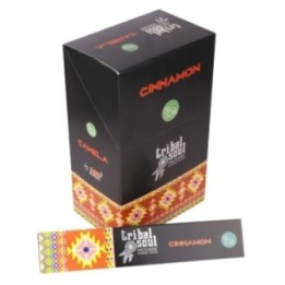 Tribal Soul Incense Sticks - Canela | HogarLider