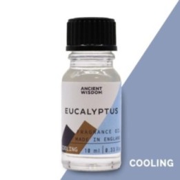 Aceites de Fragancia 10ml - Eucalipto | HogarLider