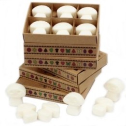 Caja de 6 ceras de Soja - Almizcle blanco | HogarLider