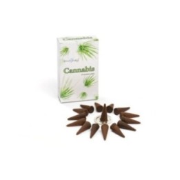Conos de incienso de cannabis | HogarLider
