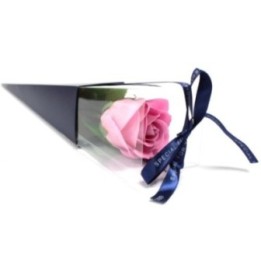 Rosa simple - rosa rosa | HogarLider
