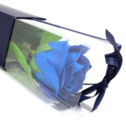 Rosa simple - rosa azul | HogarLider