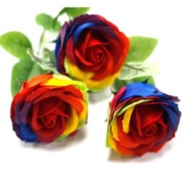 Rosa simple - Arco iris | HogarLider