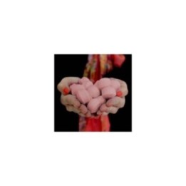 1.3 Kg Mini-Bombitas - fruta de la pasión | HogarLider