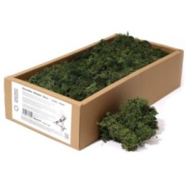 1x Musgo decorativo - Verde oscuro… · AW-Moss-01 | HogarLider