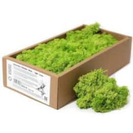 1x Musgo Decorativo -Verde Claro - (aprox. 500g) | HogarLider