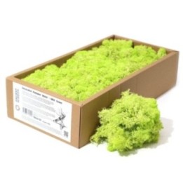 1x Musgo Decorativo - Lima - (aprox. 500g) | HogarLider