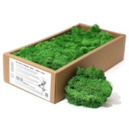 1x Musgo Decorativo - Verde - (aprox. 500g) | HogarLider