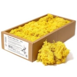 1x Musgo decorativo - Amarillo - (aprox. 500g) | HogarLider