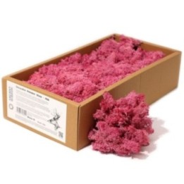 1x Musgo Decorativo - Rosa - (aprox. 500g) | HogarLider