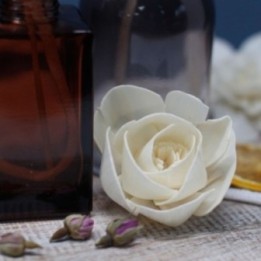 Flores Naturales para Difusor… · AW-Ndiff-04 | HogarLider
