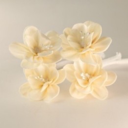 Flores Naturales para Difusor… · AW-Ndiff-06 | HogarLider