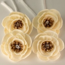 Flores Naturales para Difusor… · AW-Ndiff-08 | HogarLider