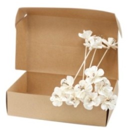 Difusor de Flores Naturales - Lirio… · AW-Ndiff-11 | HogarLider
