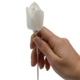 Difusor de Flores Naturales… · AW-Ndiff-12 | HogarLider