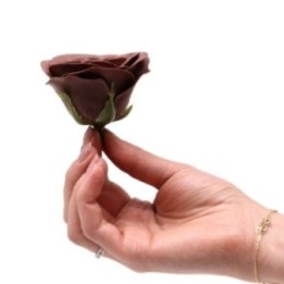 Flor de Jabón Artesanal - Grande… · AW-CSFH-93 | HogarLider