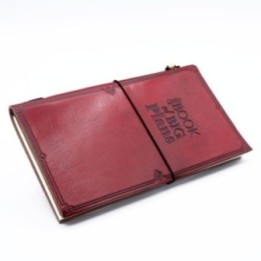 Diario de Cuero - Little Book of… · AW-MSJ-08 | HogarLider