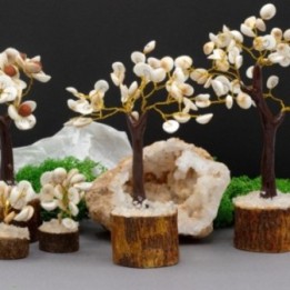 Gomati Chakra Árboles de Piedra… · AW-GCC-02 | HogarLider