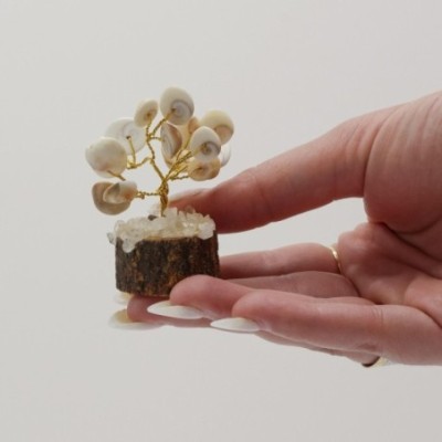 Pequeño Gomati Chakra Árboles de Piedra Círculo con Rudraksha - (15 piedras) — Pack de 3 unidades