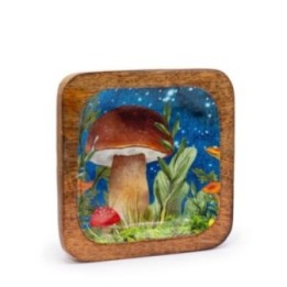 Bandeja cuadrada grande 15x15x2.5cm… · AW-ENBT-08 | HogarLider