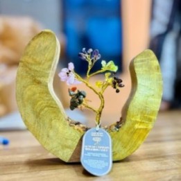 Jardín del Árbol de Piedras… · AW-GemTG-07 | HogarLider