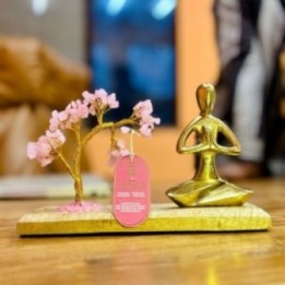 Jardín de Yoga con Piedras… · AW-GemTG-09 | HogarLider