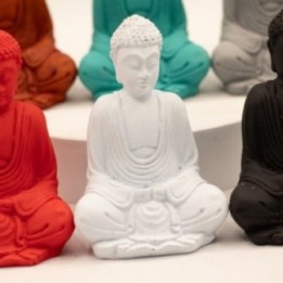 Mini Buddha Mate (colores surtidos)… · AW-RBud-03 | HogarLider