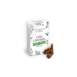 Conos de Incienso a Base de Plantas… · AW-SPBiC-03 | HogarLider