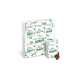 Conos de Incienso a Base de Plantas… · AW-SPBiC-05 | HogarLider