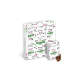 Conos de Incienso a Base de Plantas… · AW-SPBiC-06 | HogarLider