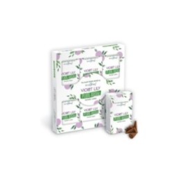 Conos de Incienso a Base de Plantas… · AW-SPBiC-12 | HogarLider