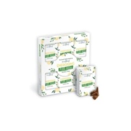 Conos de Incienso a Base de Plantas… · AW-SPBiC-14 | HogarLider