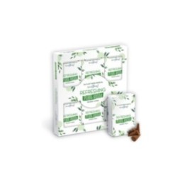 Conos de Incienso a Base de Plantas… · AW-SPBiC-16 | HogarLider